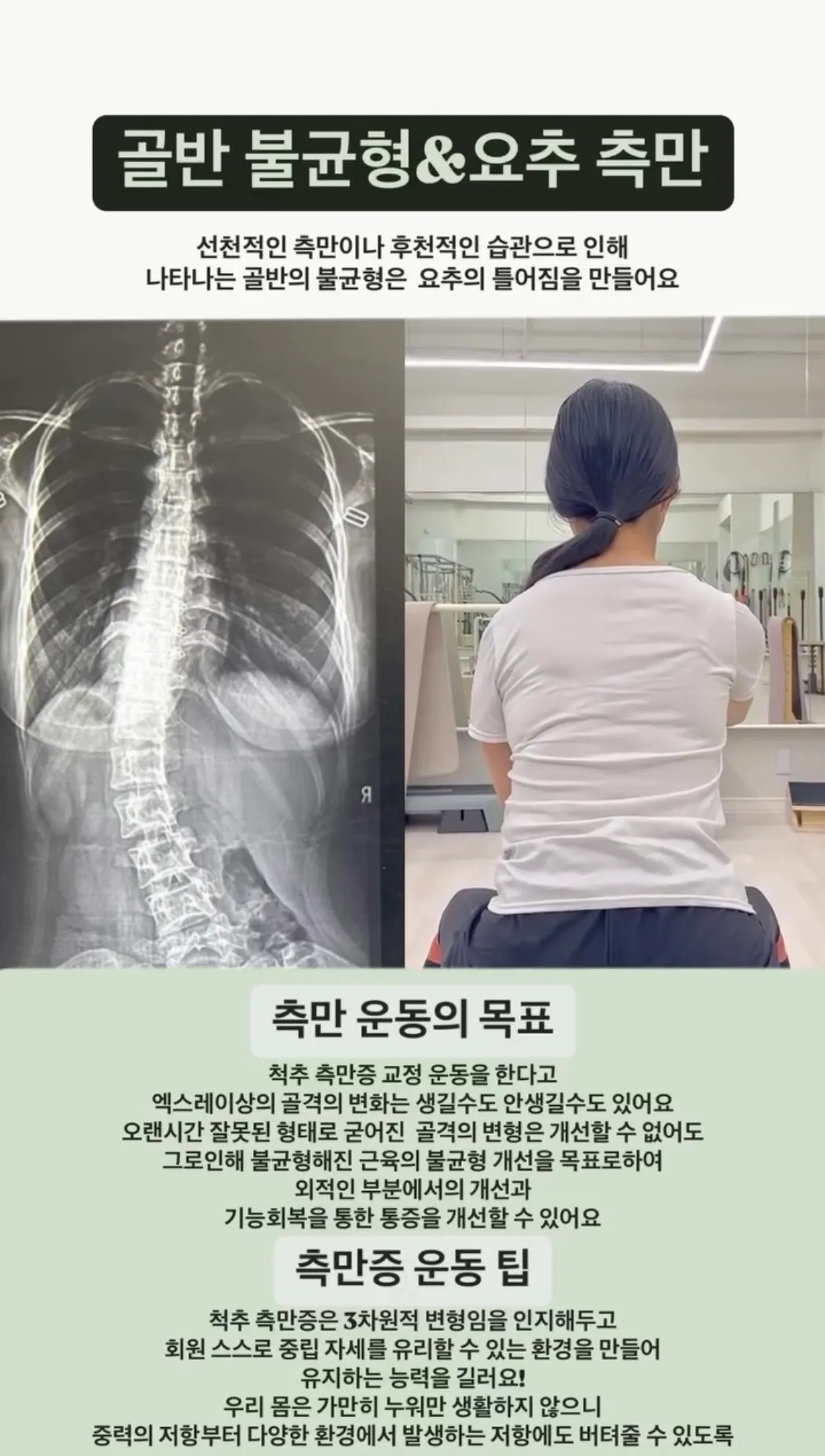 이미지 5