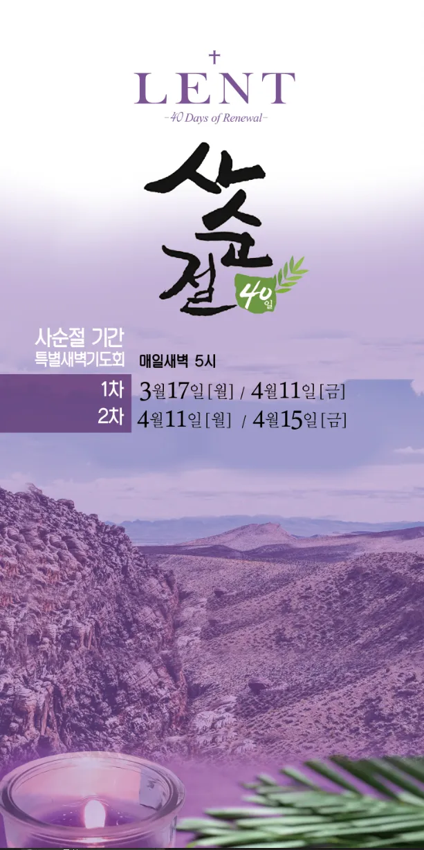 이미지 10