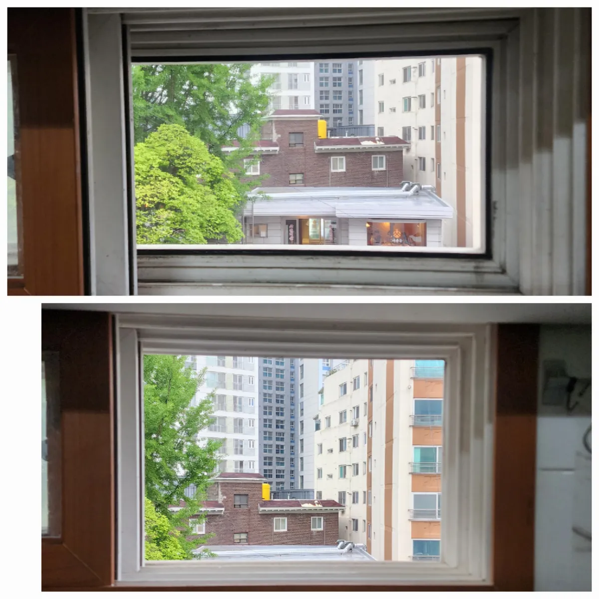 이미지 12