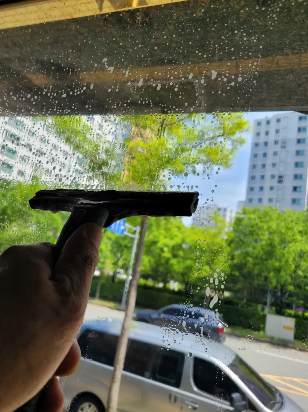 이미지 7