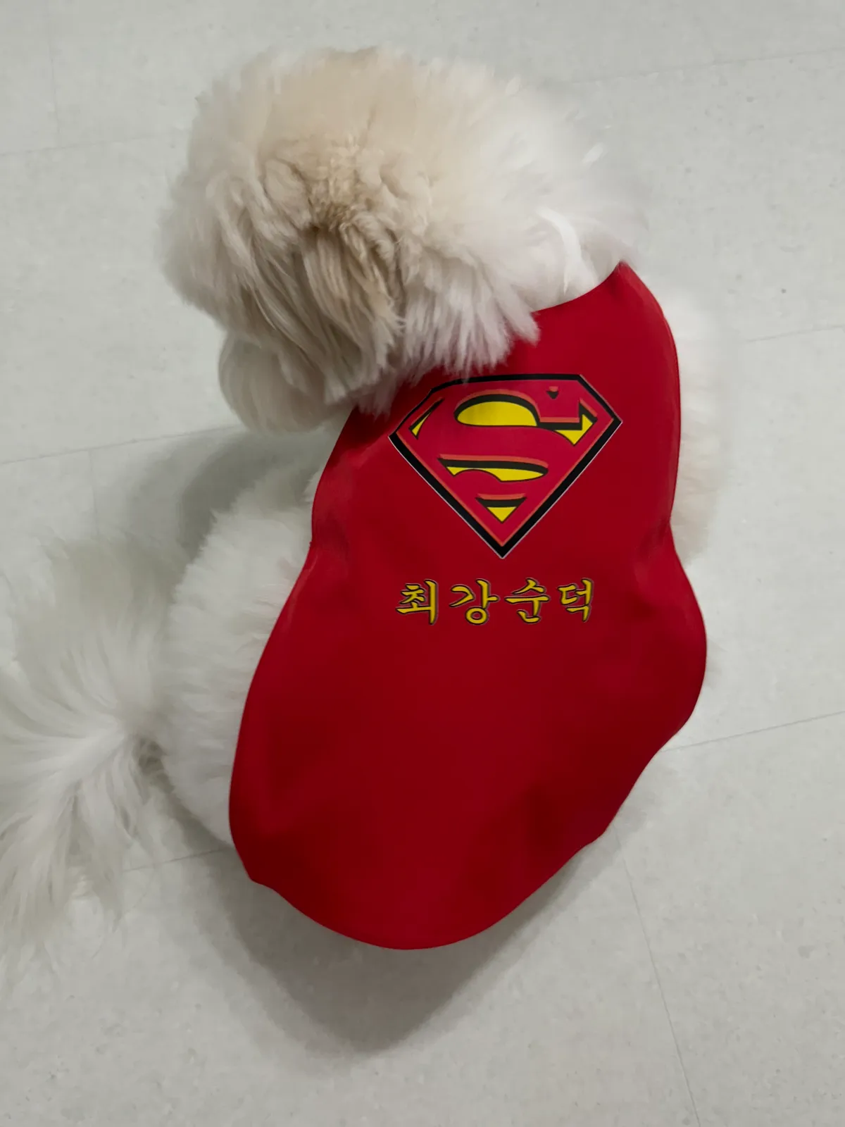 이미지 3