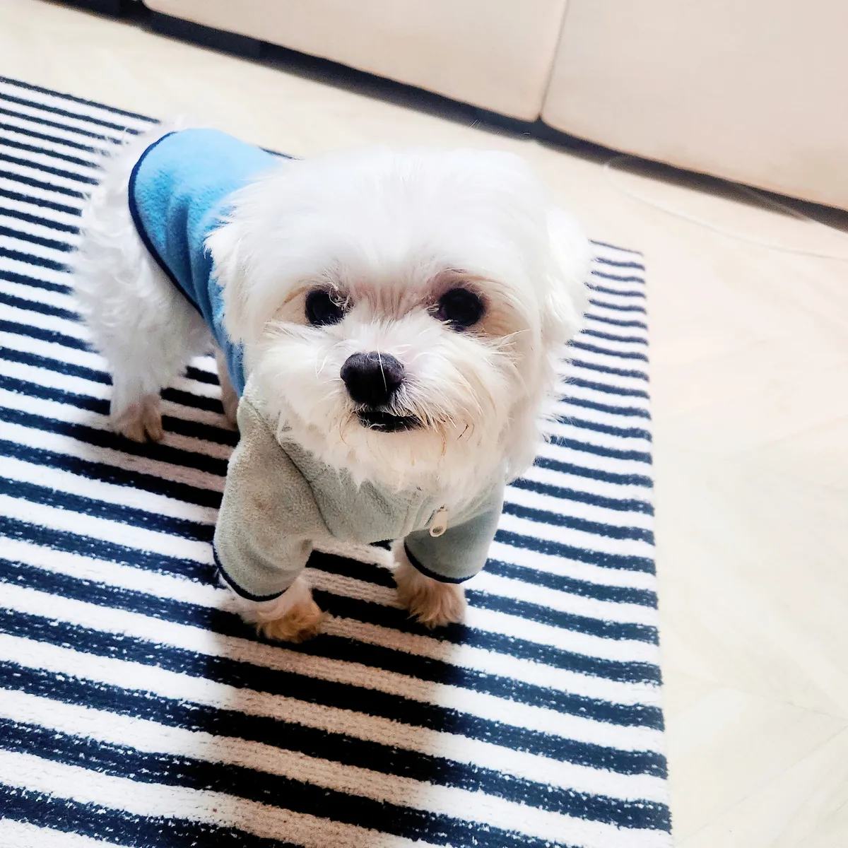 이미지 5