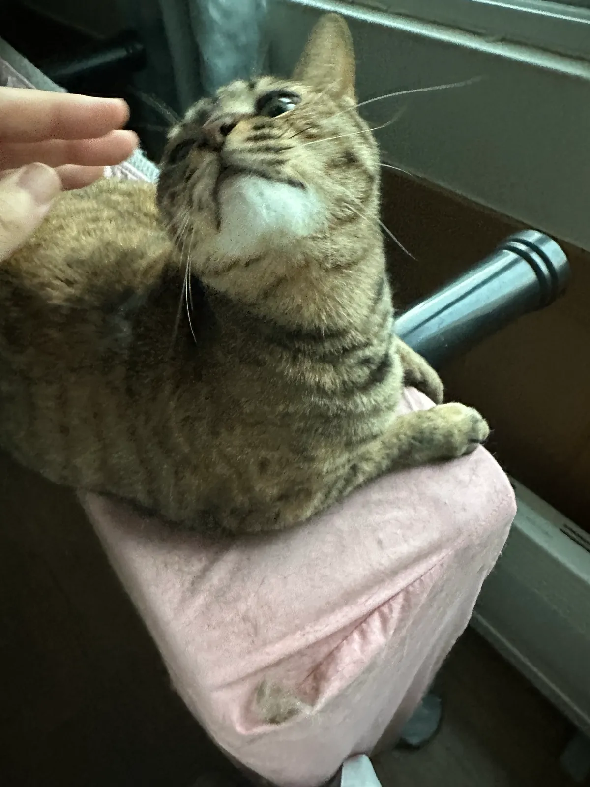 이미지 7