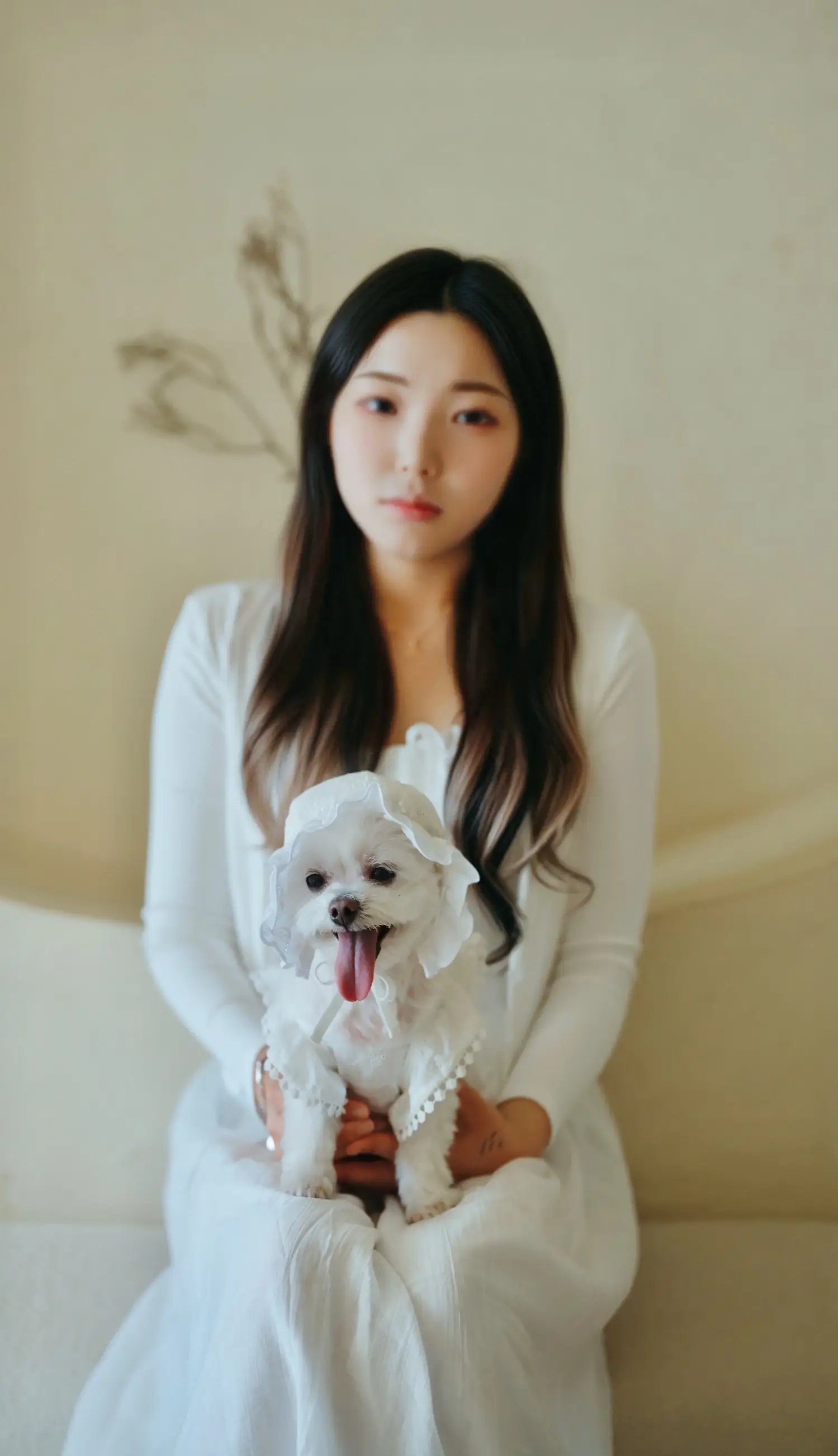 이미지 12