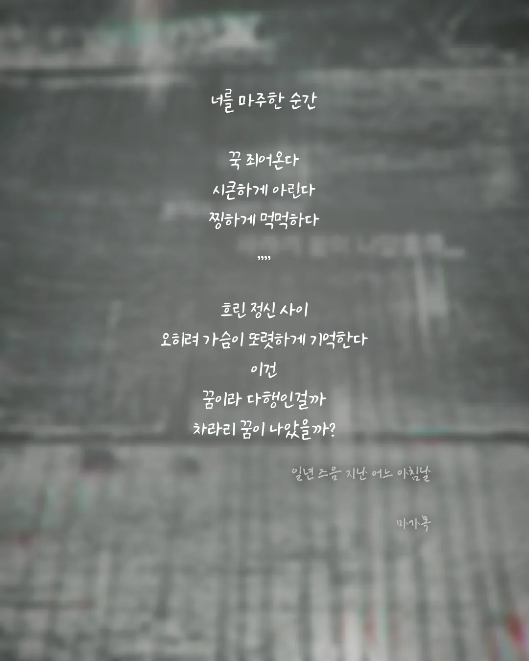 이미지 3