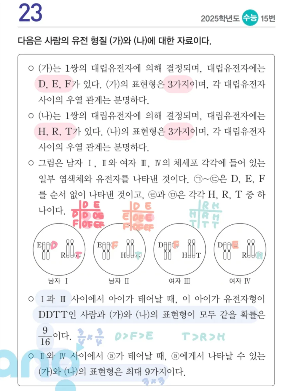 이미지 6