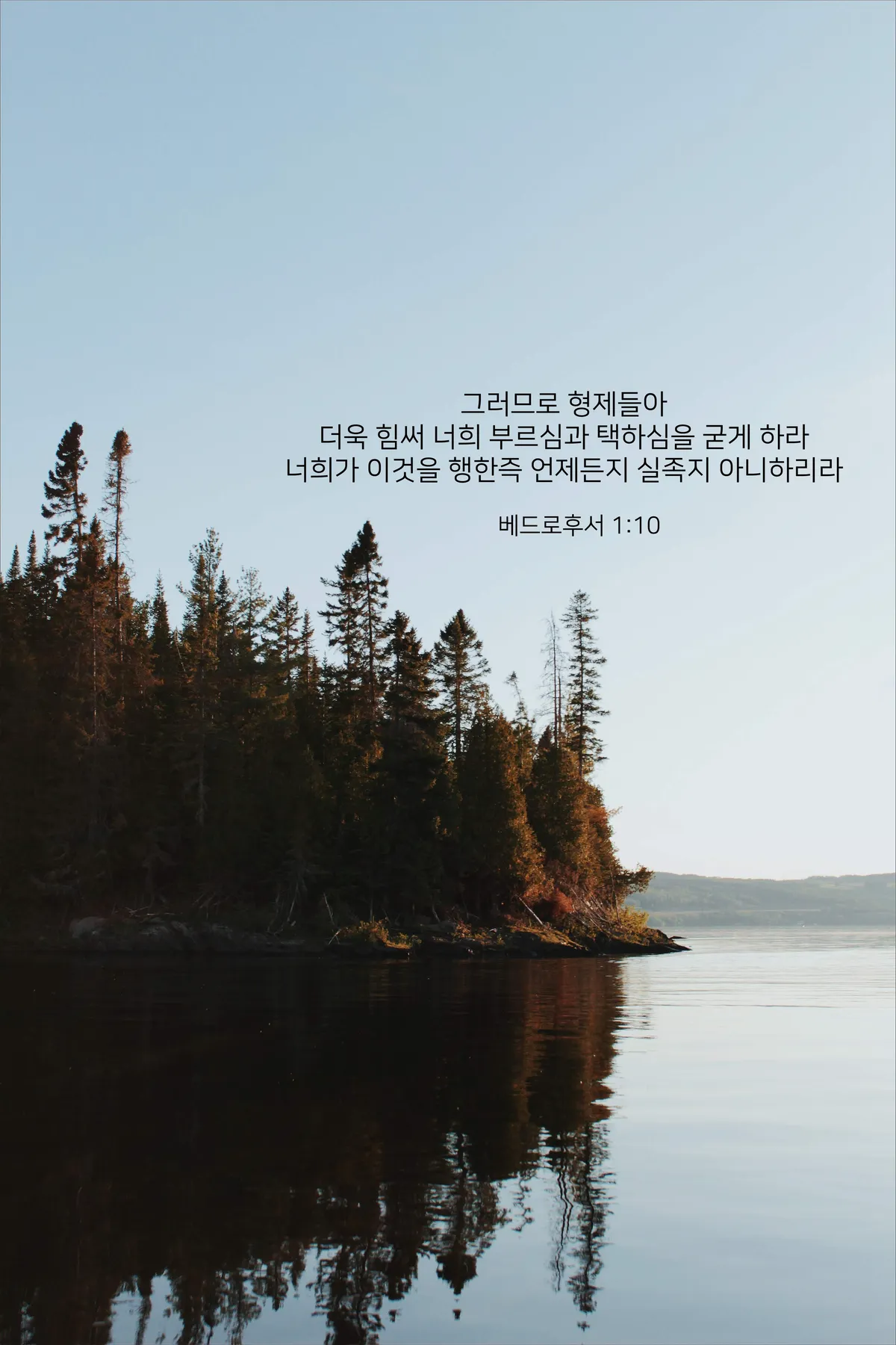 이미지 4