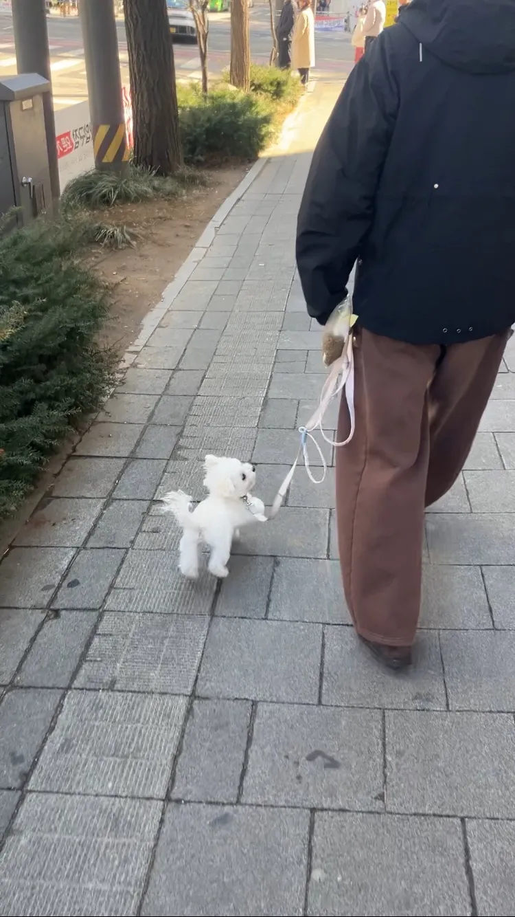 이미지 6