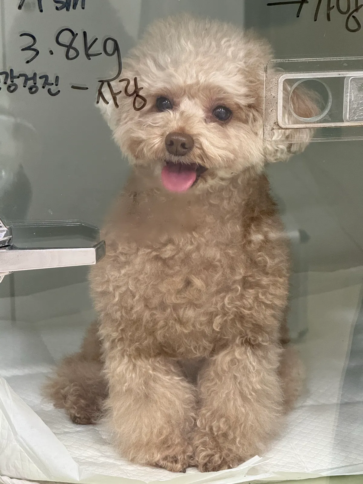 이미지 6