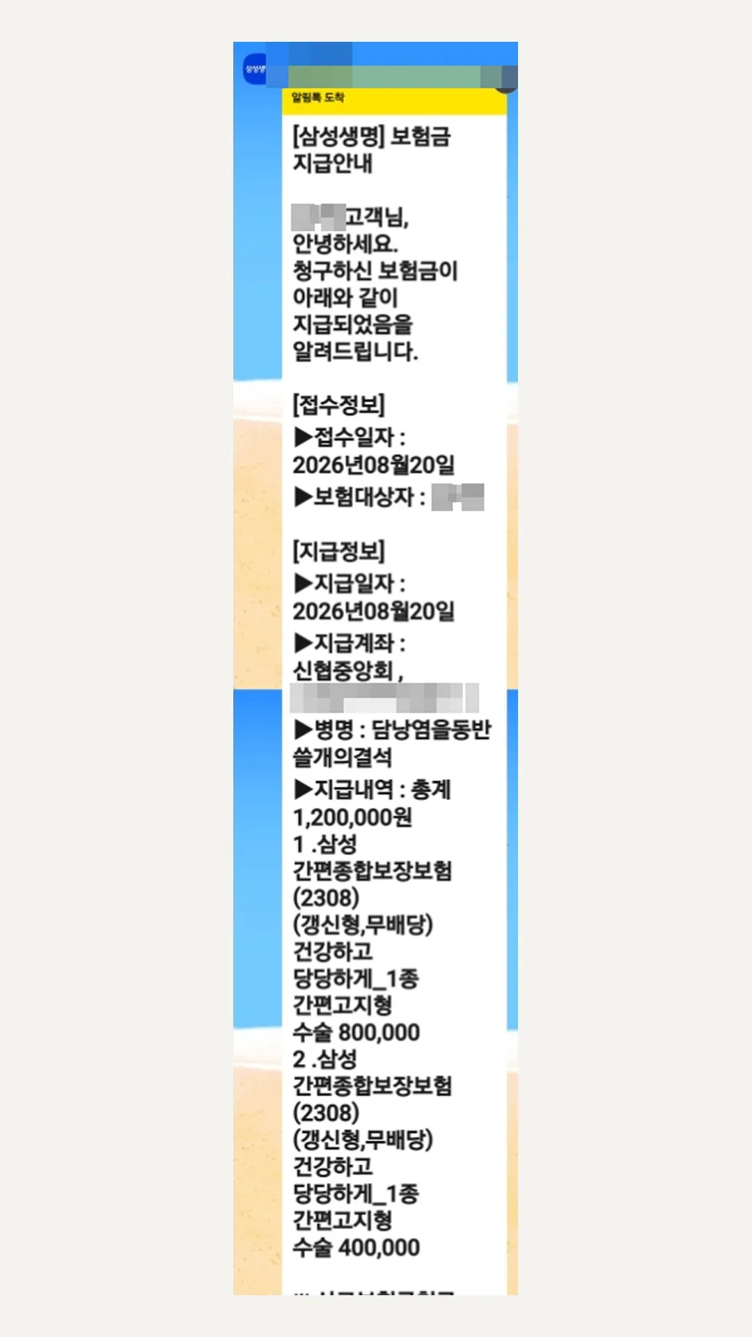 이미지 5