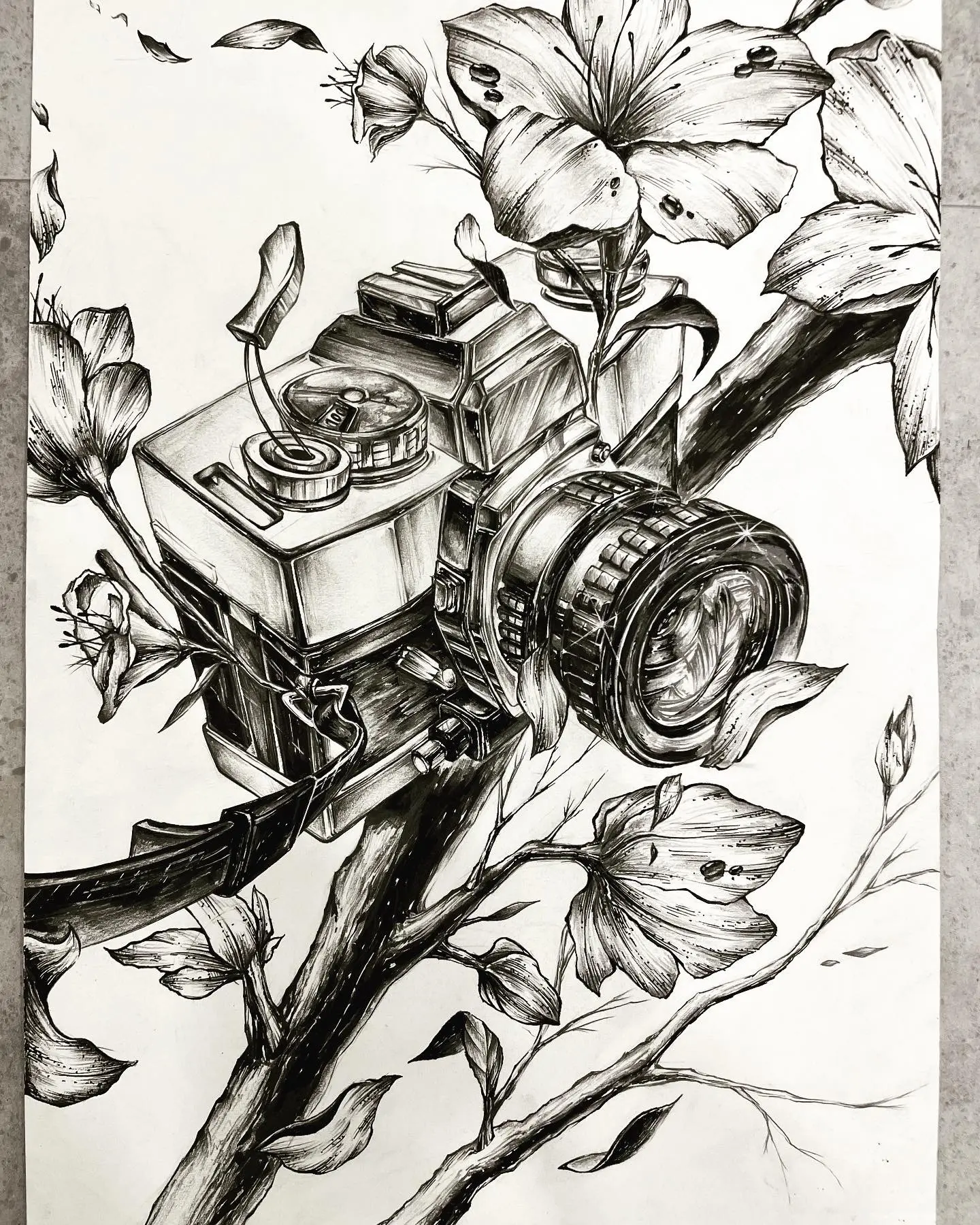 포트폴리오 이미지