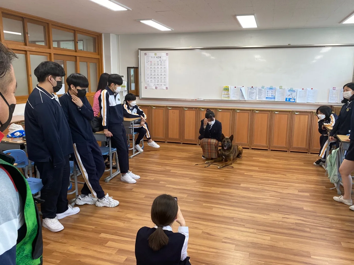 이미지 7