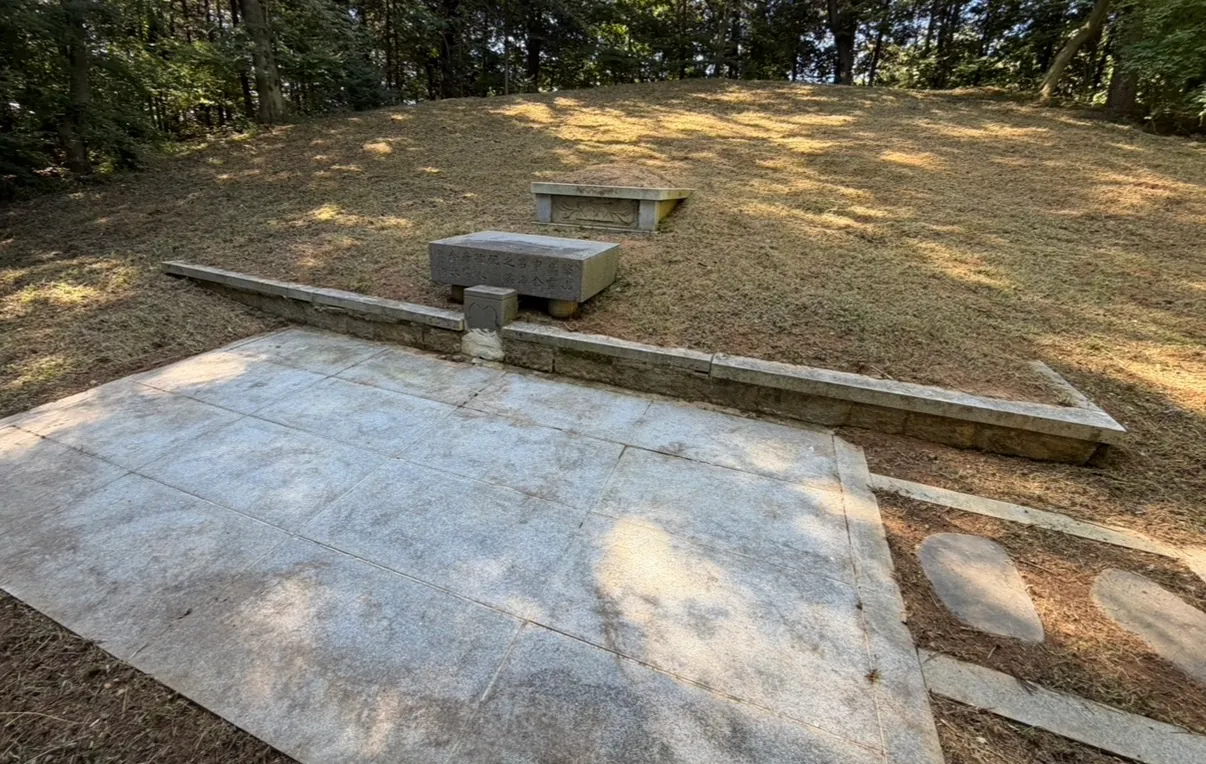 이미지 12