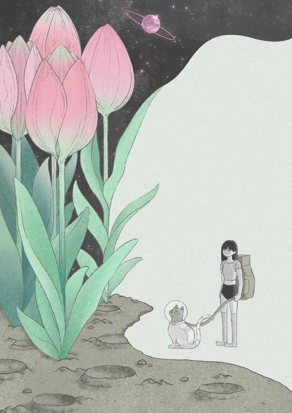 이미지 11