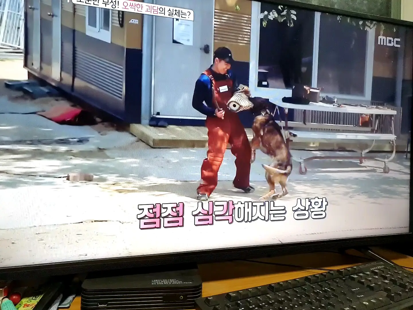 이미지 3
