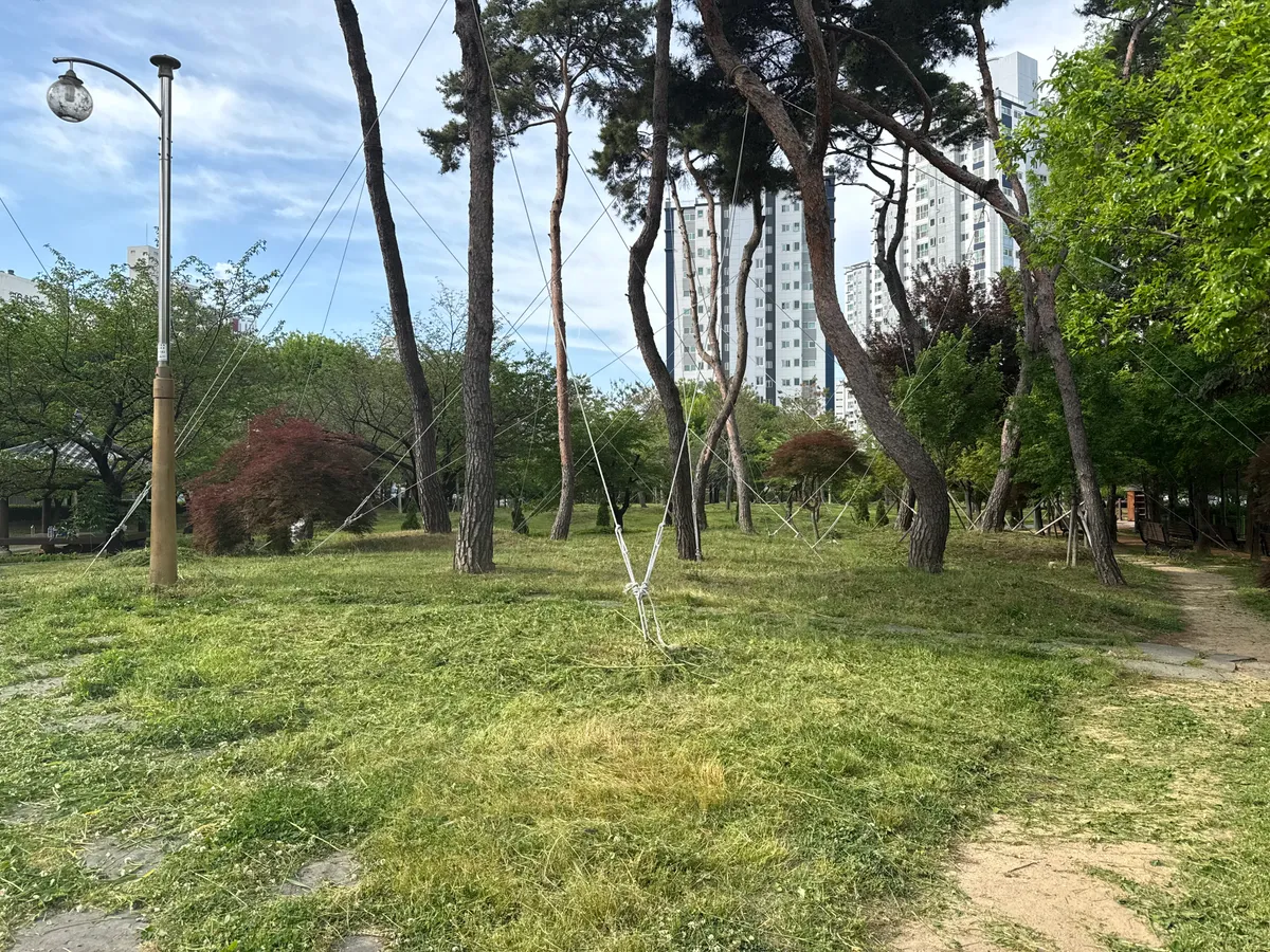 이미지 20