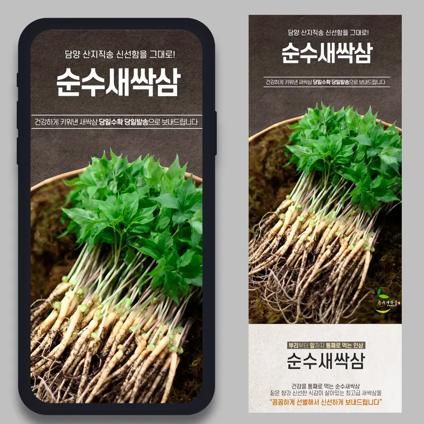 포트폴리오 이미지