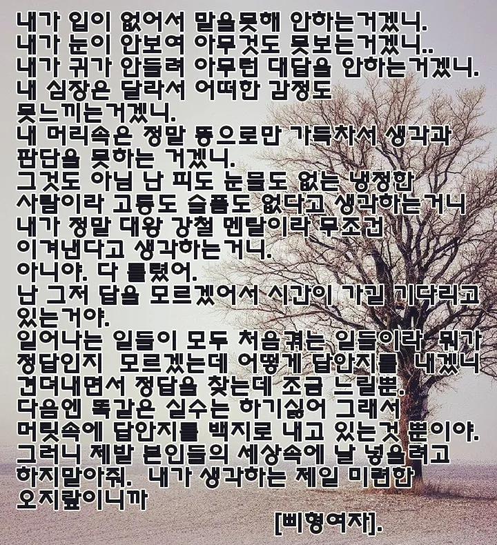 포트폴리오 이미지