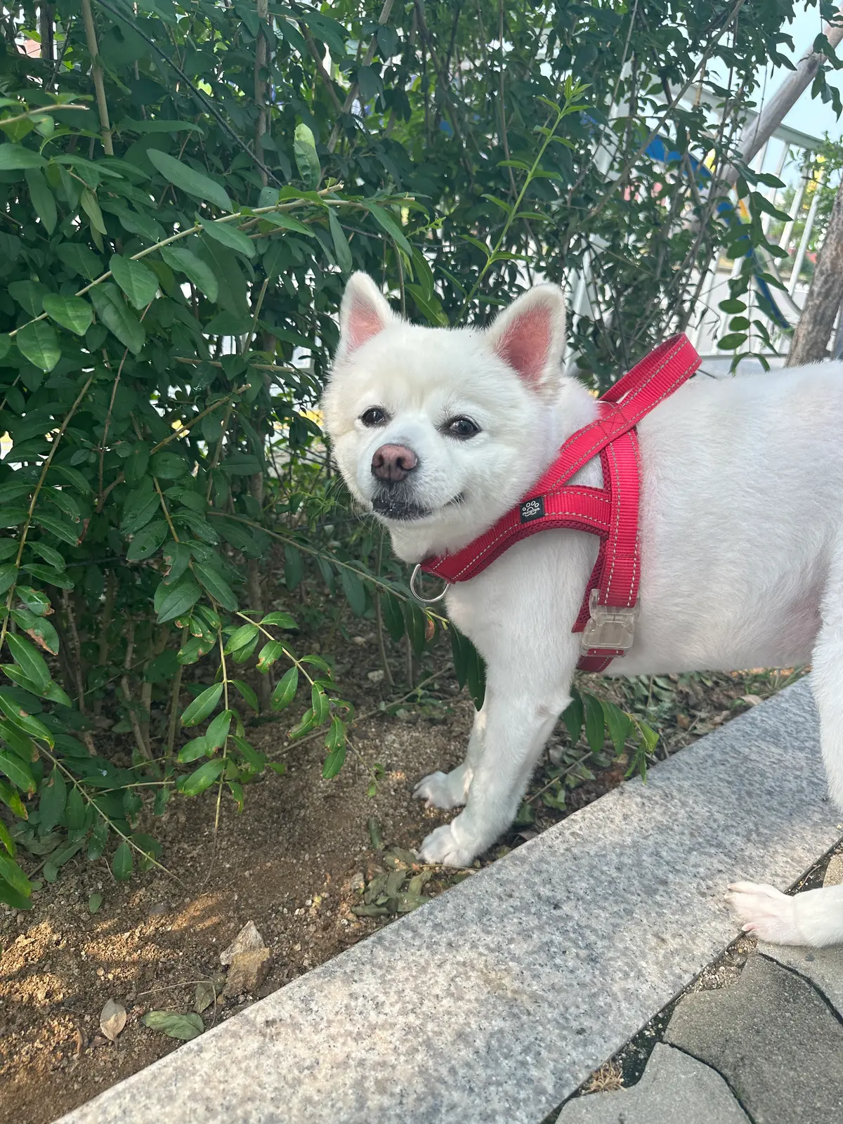 이미지 6