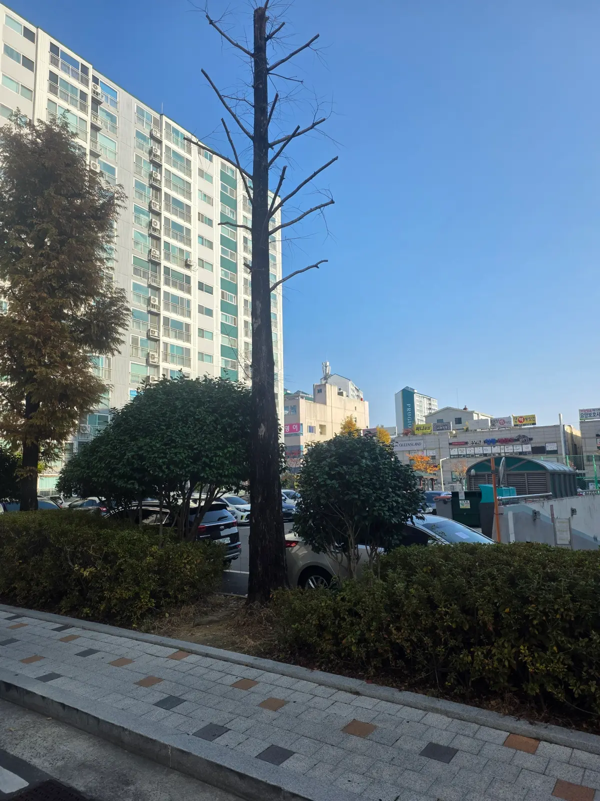 이미지 4