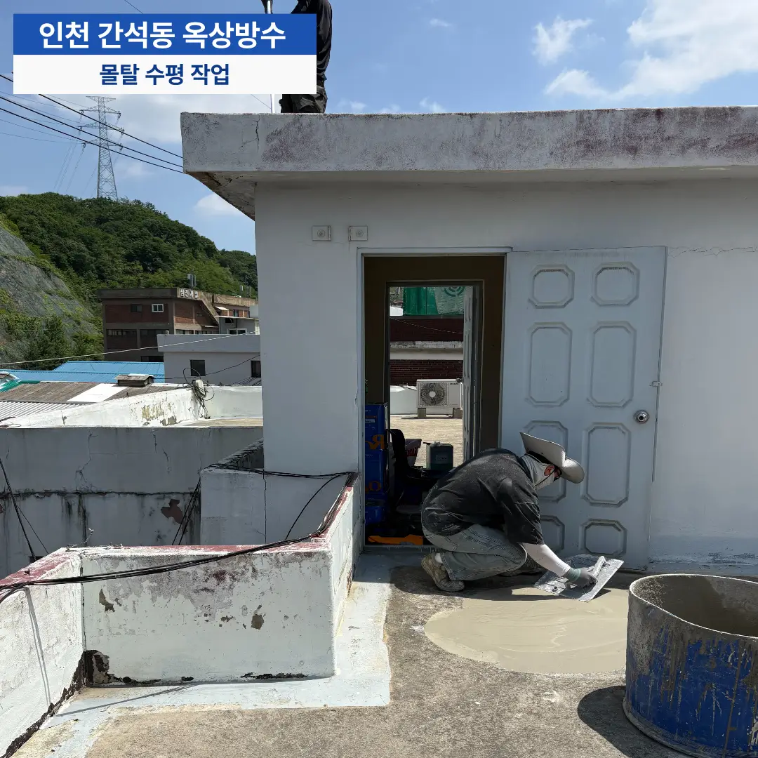 이미지 10
