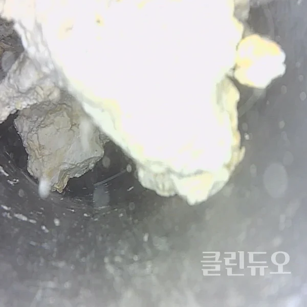 이미지 16