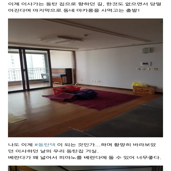 이미지 9