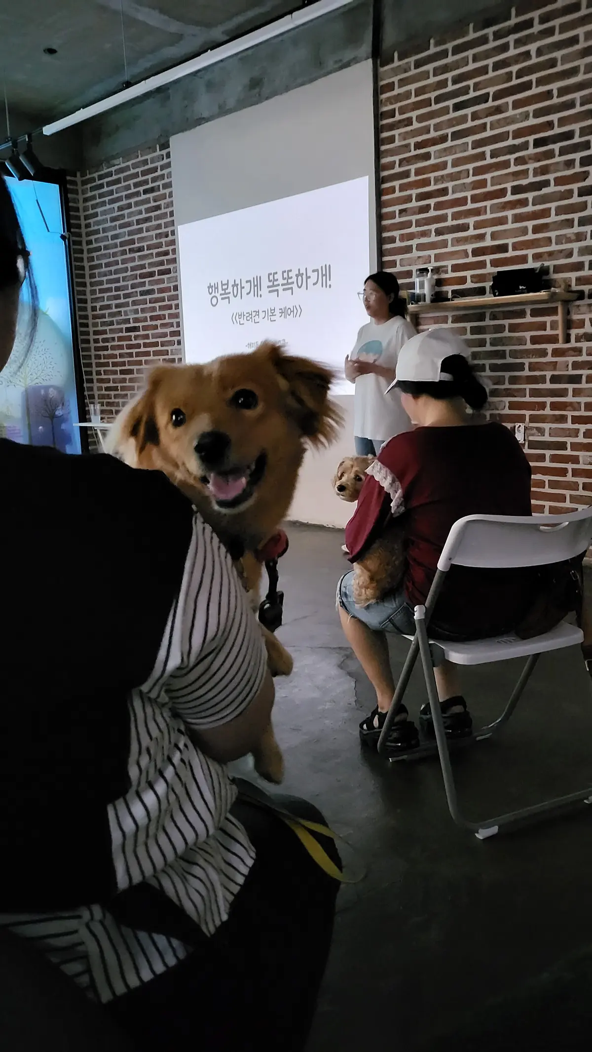 이미지 3