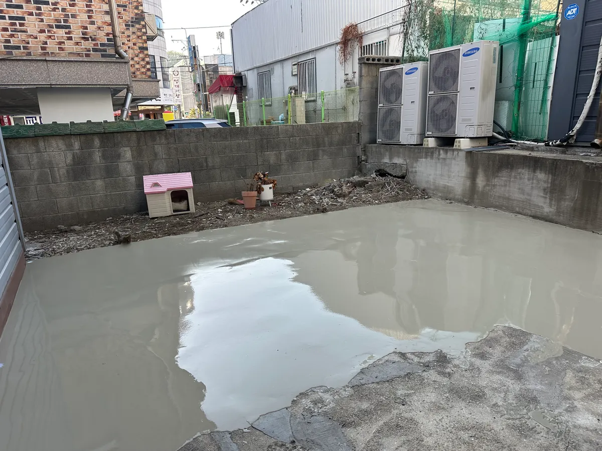 이미지 9