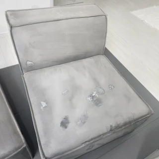 양주 로제비앙 강쥐5마리 고객님