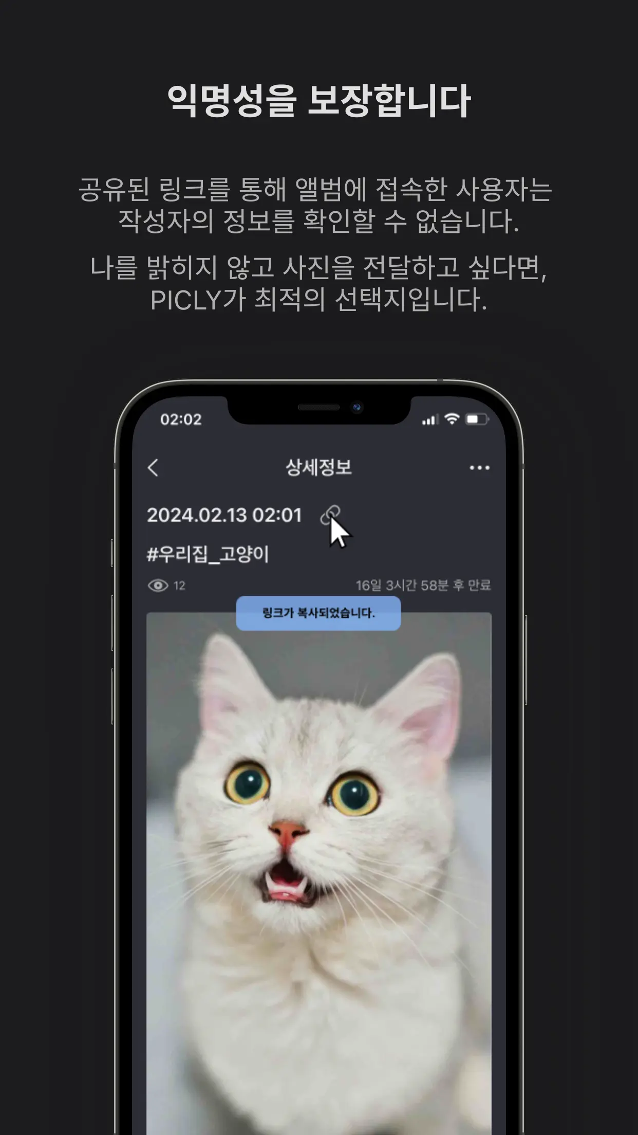 이미지 5