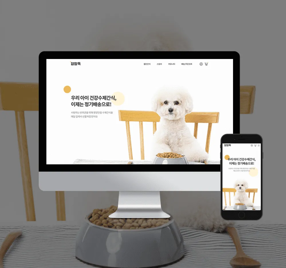 포트폴리오 이미지