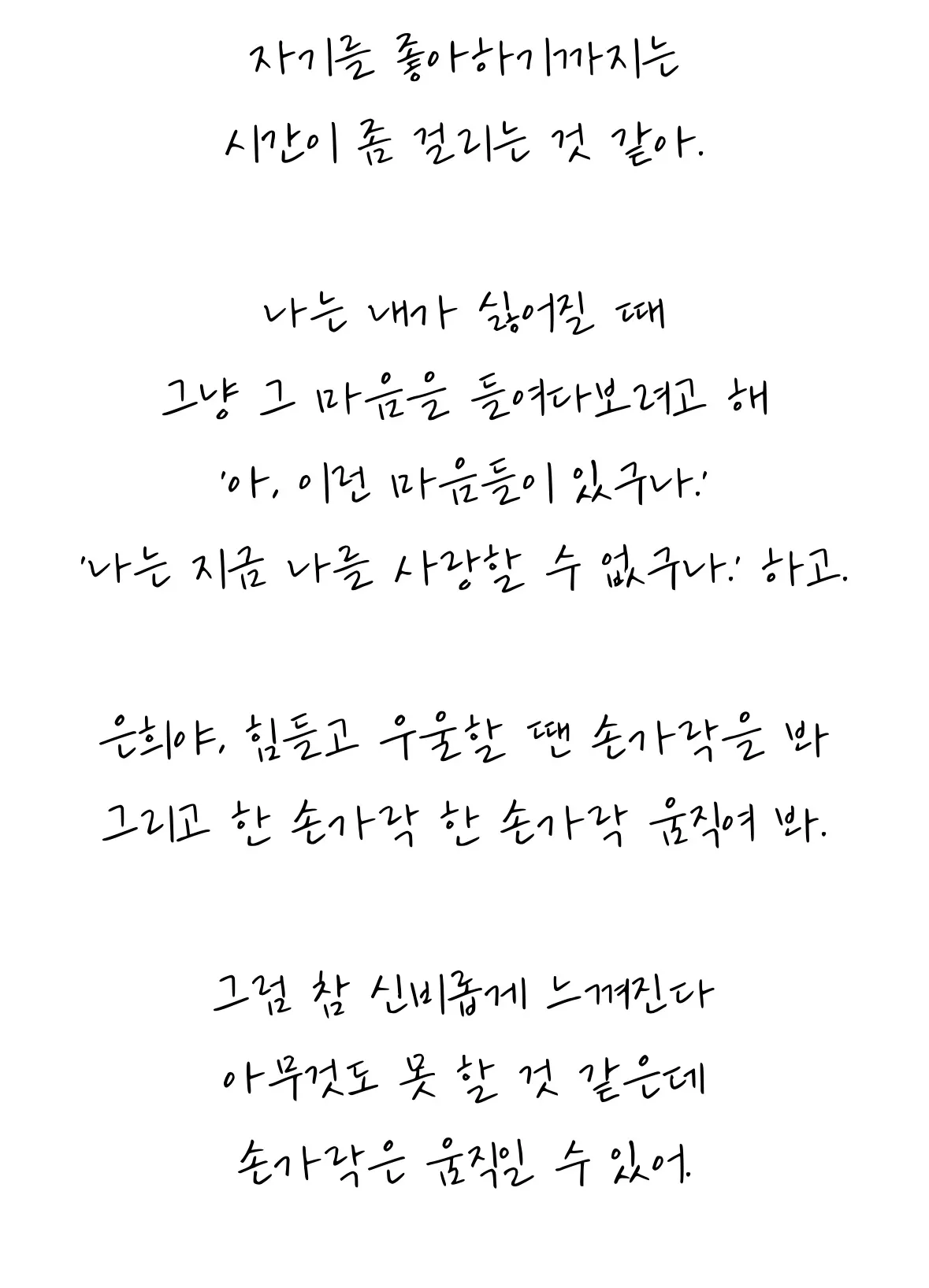 이미지 5