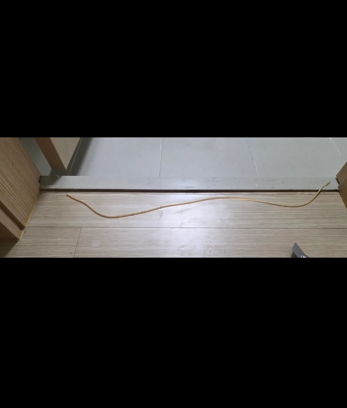 이미지 8