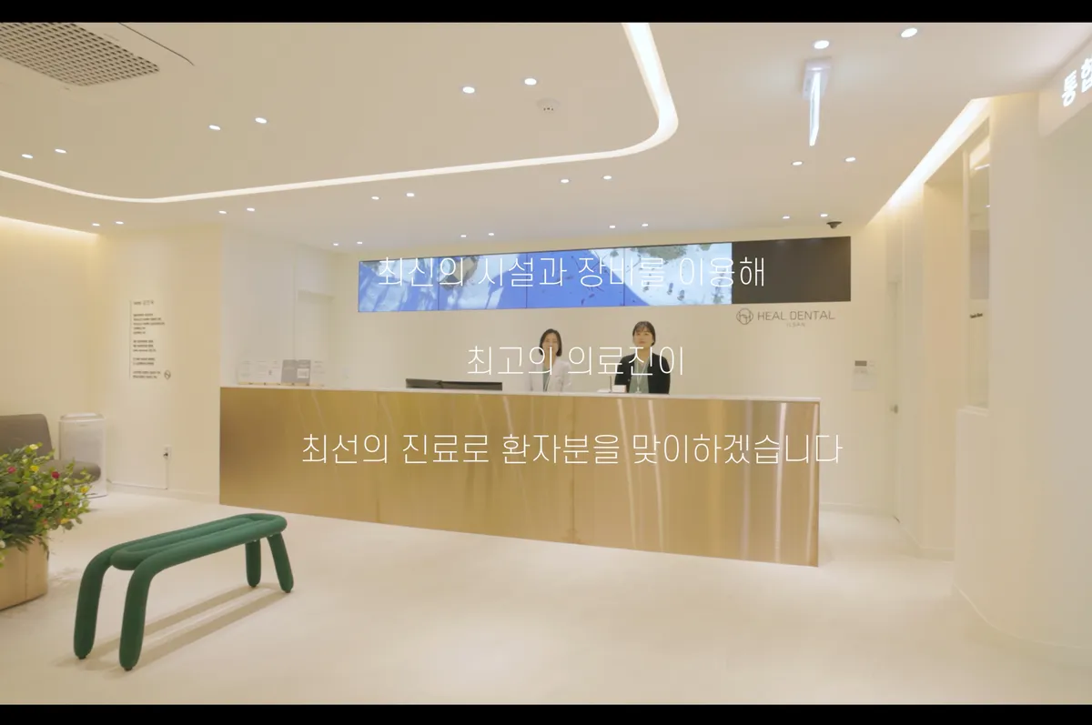 이미지 11