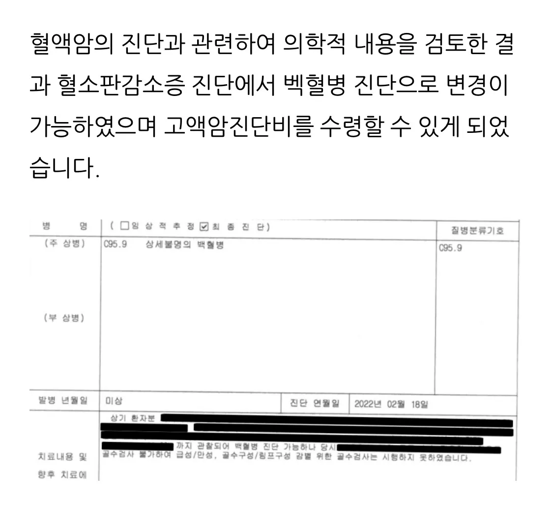 이미지 8