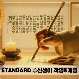 STANDARD - 운을 담는 사주맞춤 신생아 작명&개명