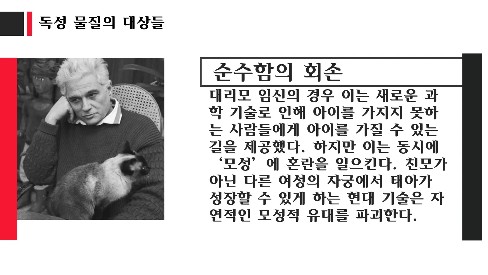 이미지 5