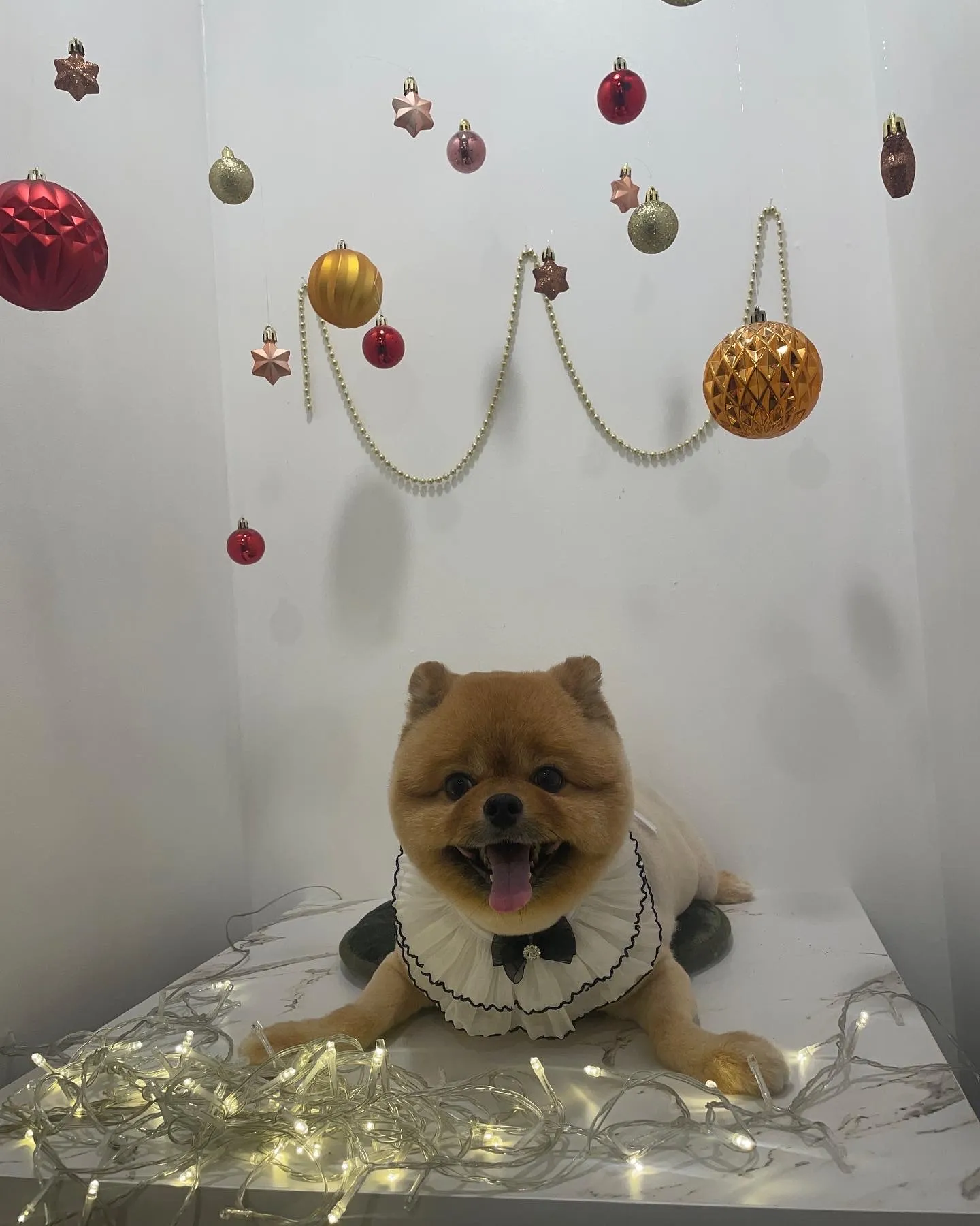 이미지 9