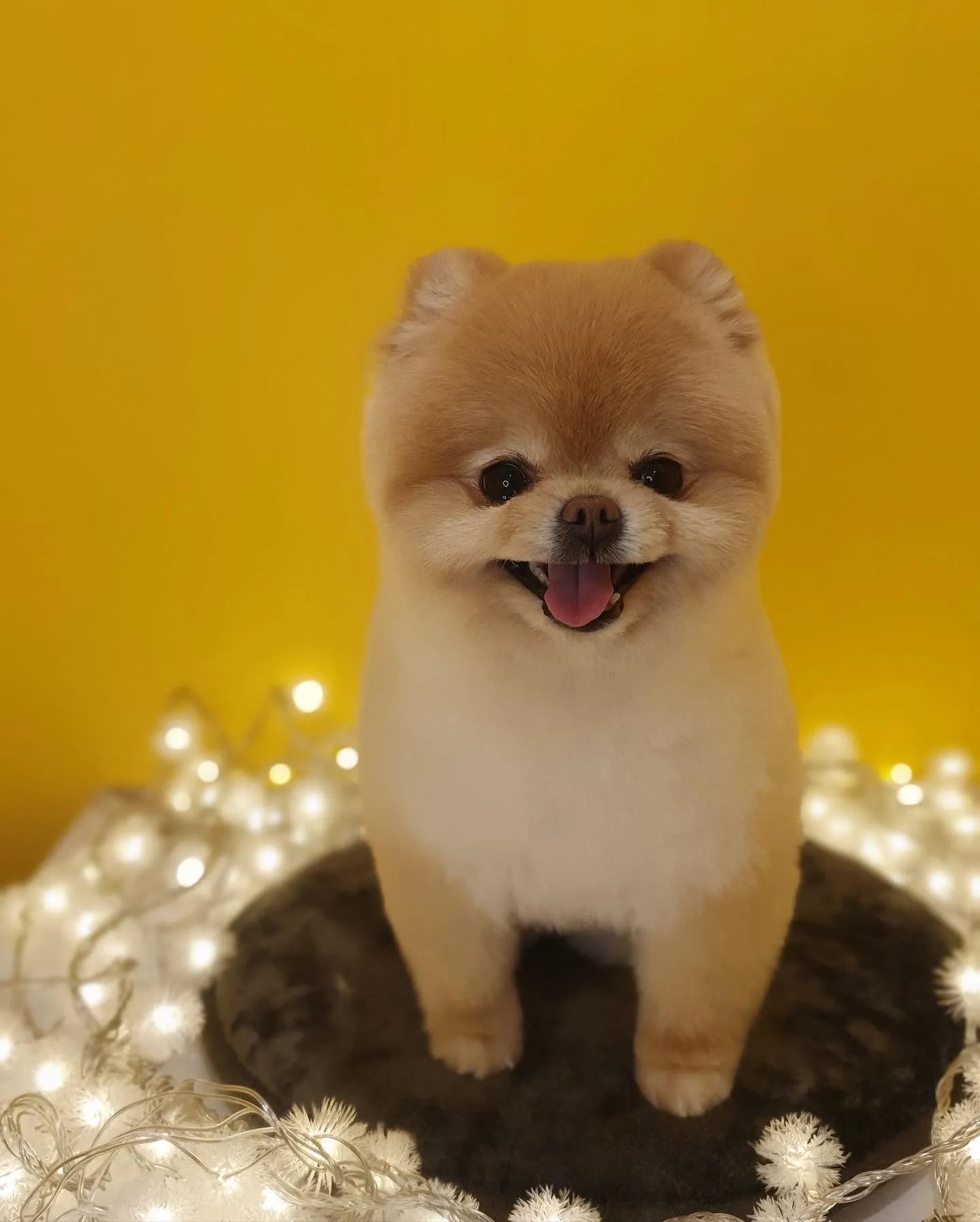 이미지 8