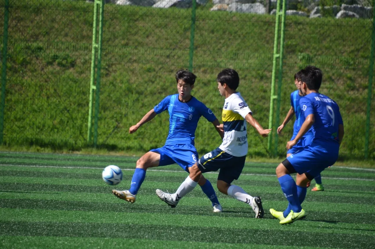 이미지 6