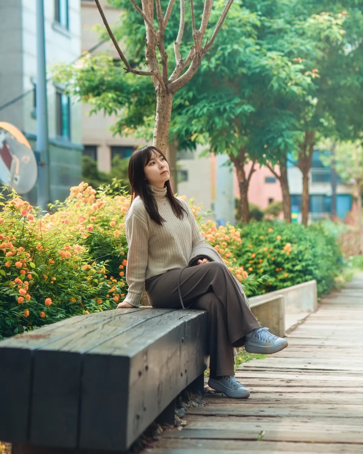 이미지 7