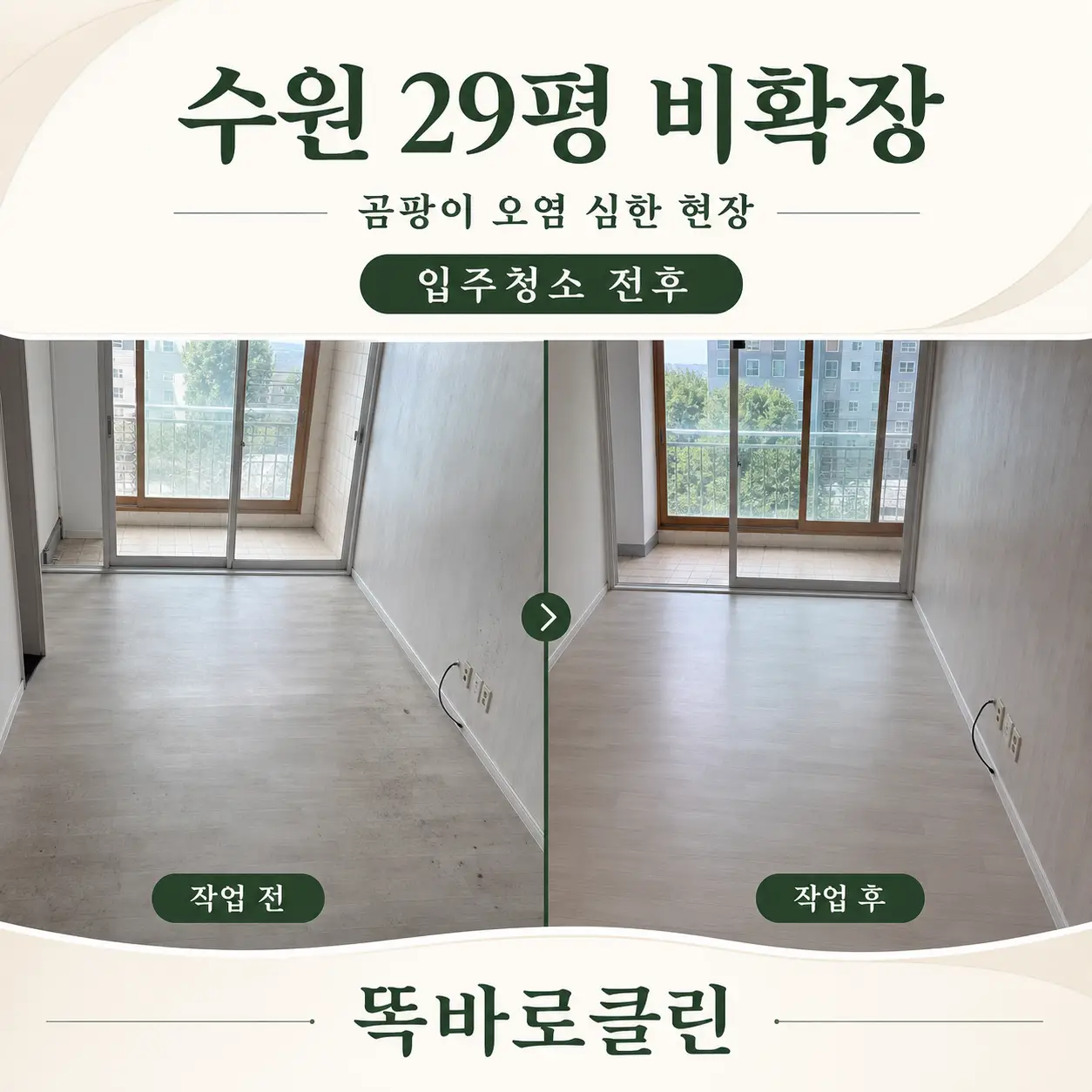 이미지 2