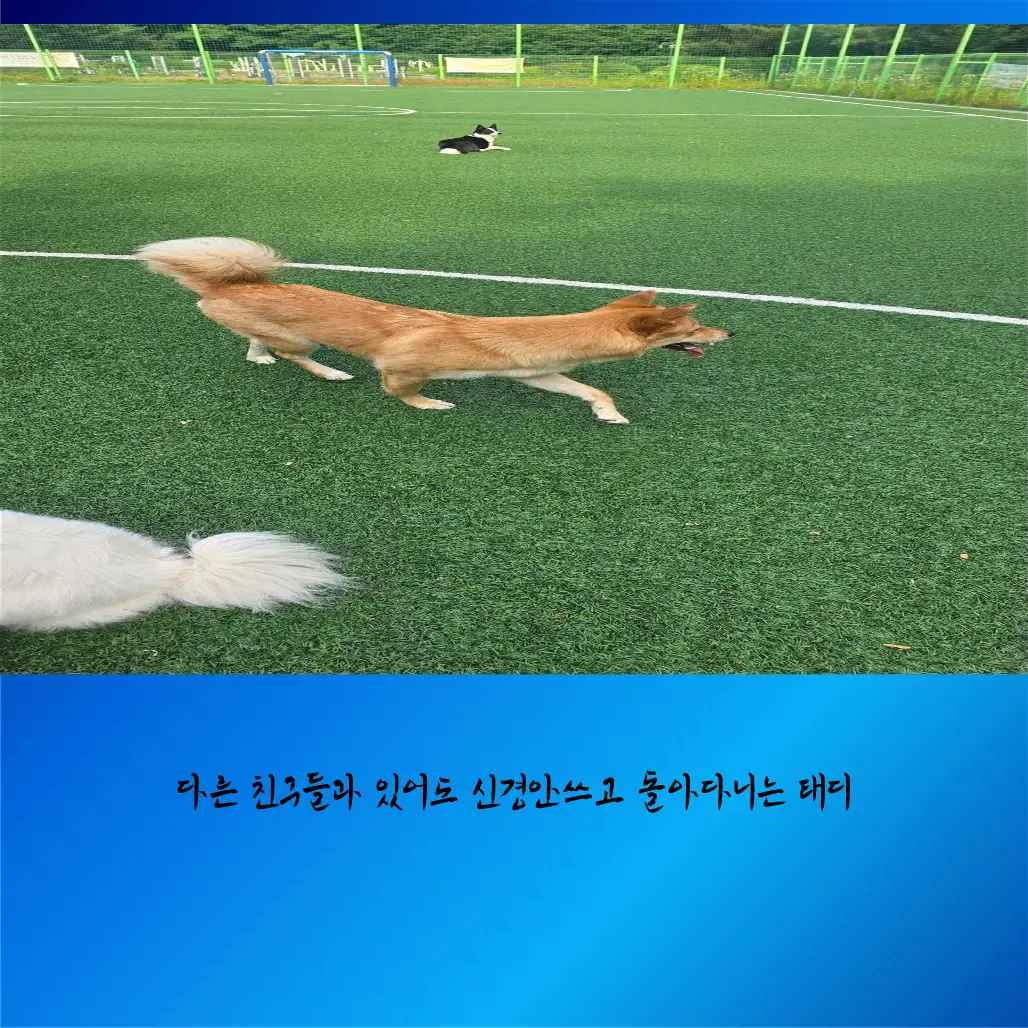 이미지 6