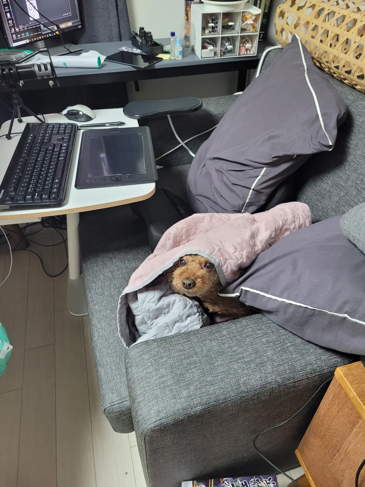 포트폴리오 이미지