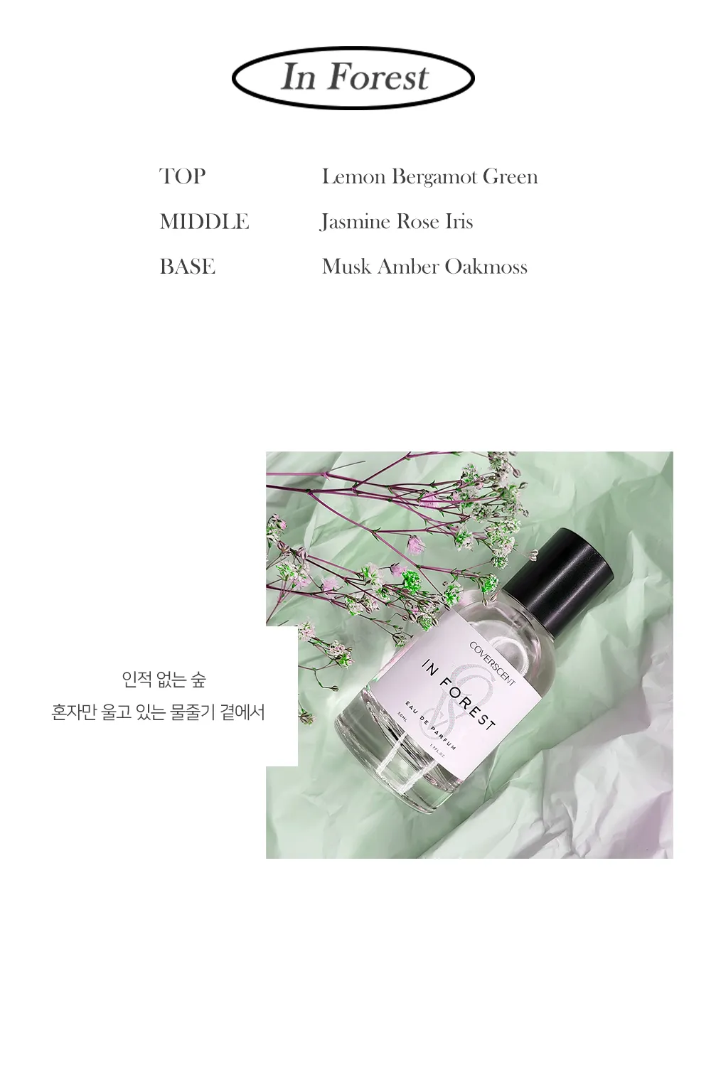 이미지 11