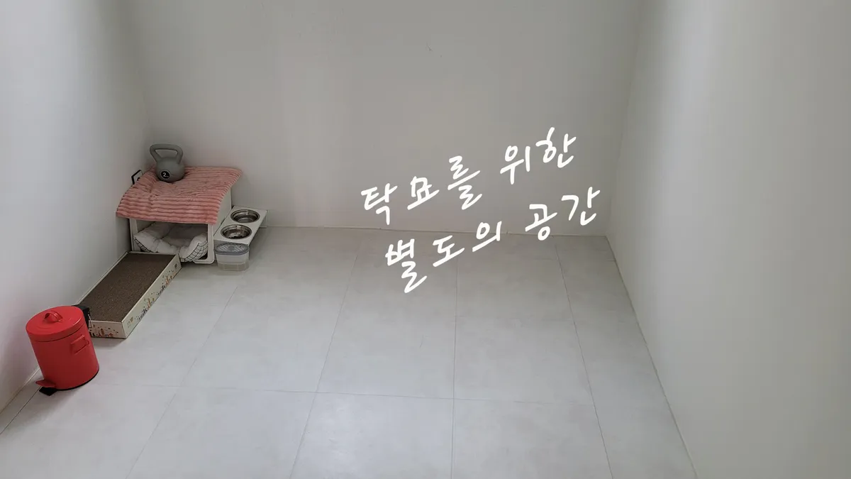 이미지 6