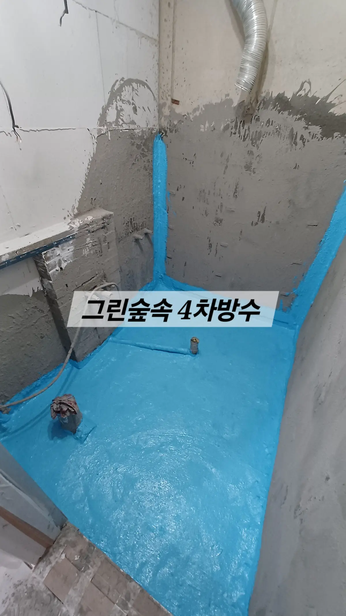 이미지 12