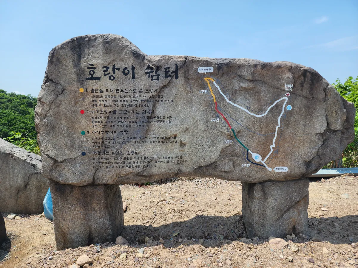 이미지 4