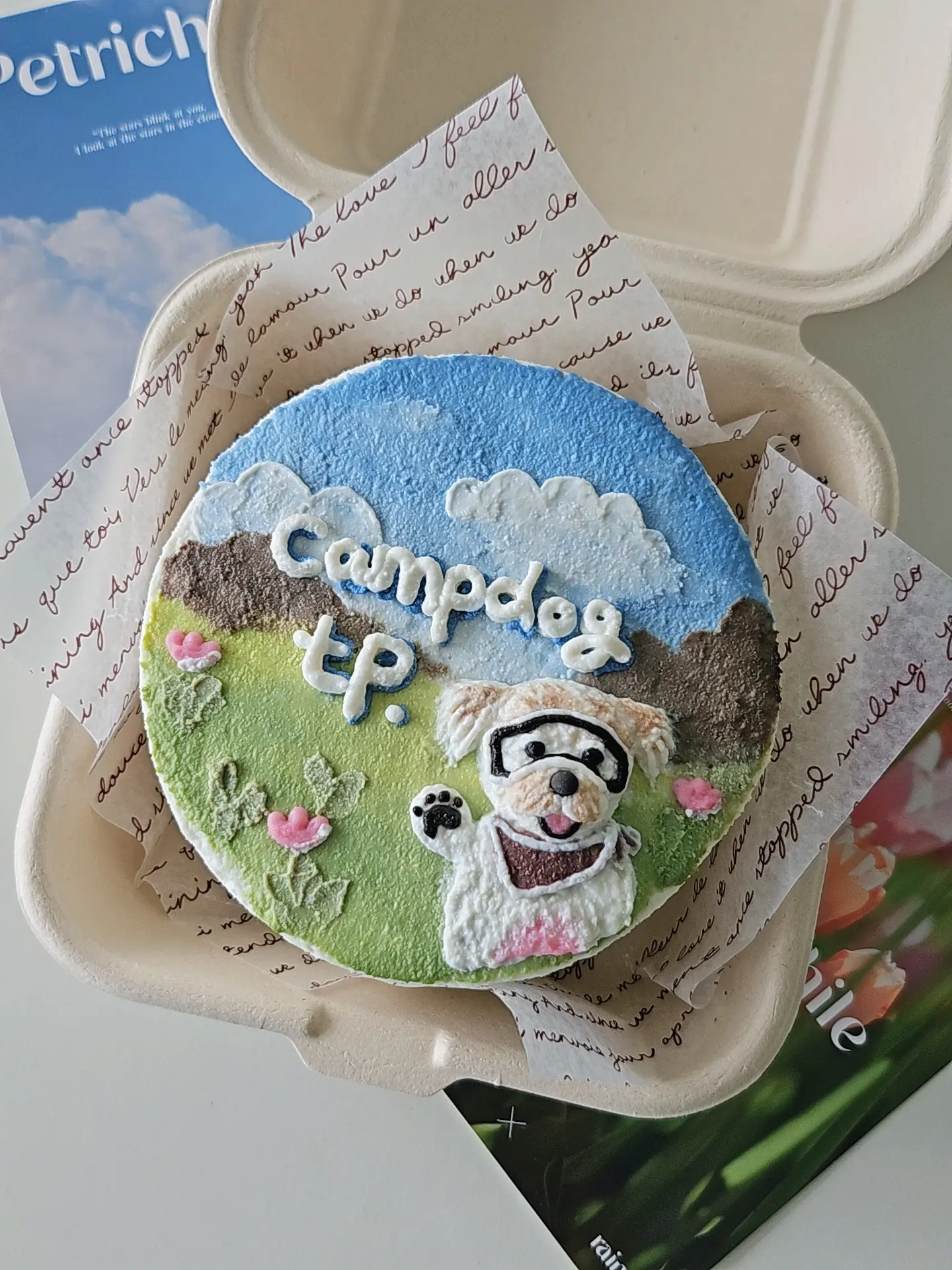 포트폴리오 이미지